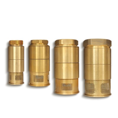 底阀加油机dn40正星油罐双门止回底阀