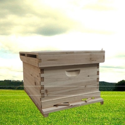 蜜蜂箱养蜂箱全套杉木中蜂蜂箱平箱土蜂箱内长42宽30宽35高26