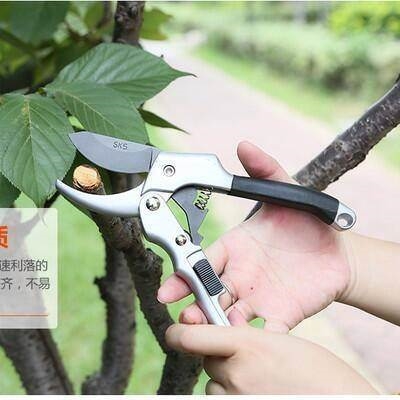 树剪剪刀修枝园艺果树剪修枝枝修树支修剪火热园艺剪