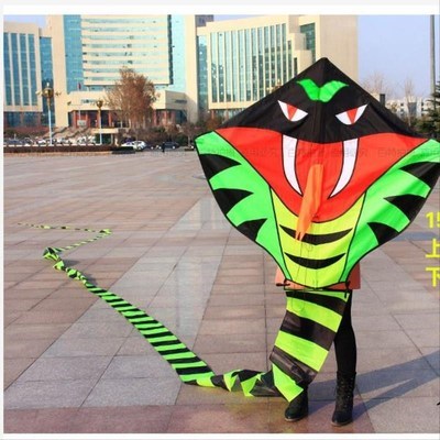 风筝大型长尾特技蟒蛇银环蛇形白蛇形立体3d风筝