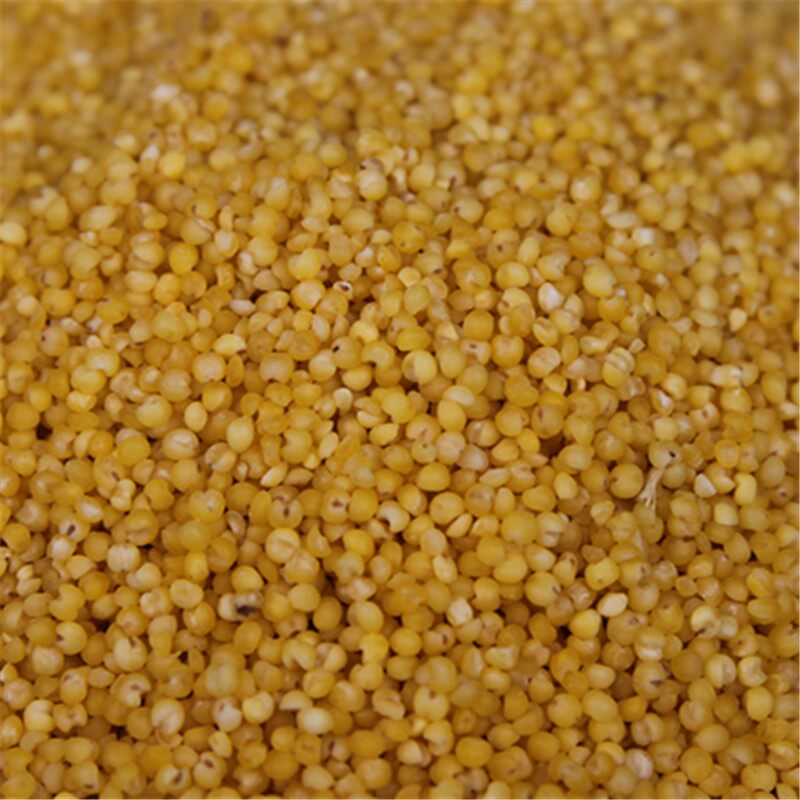 小米农家杂粮月子米黄米粥米新粮食粗粮500g小米