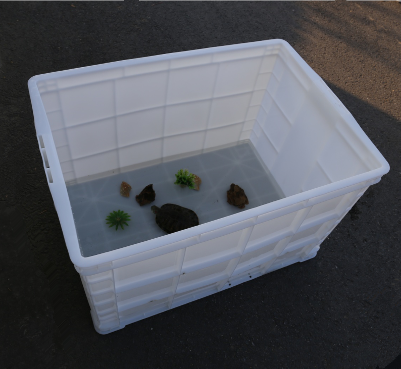 塑料养龟箱特大号排水乌龟专用养殖家用养鱼大型桌面缸