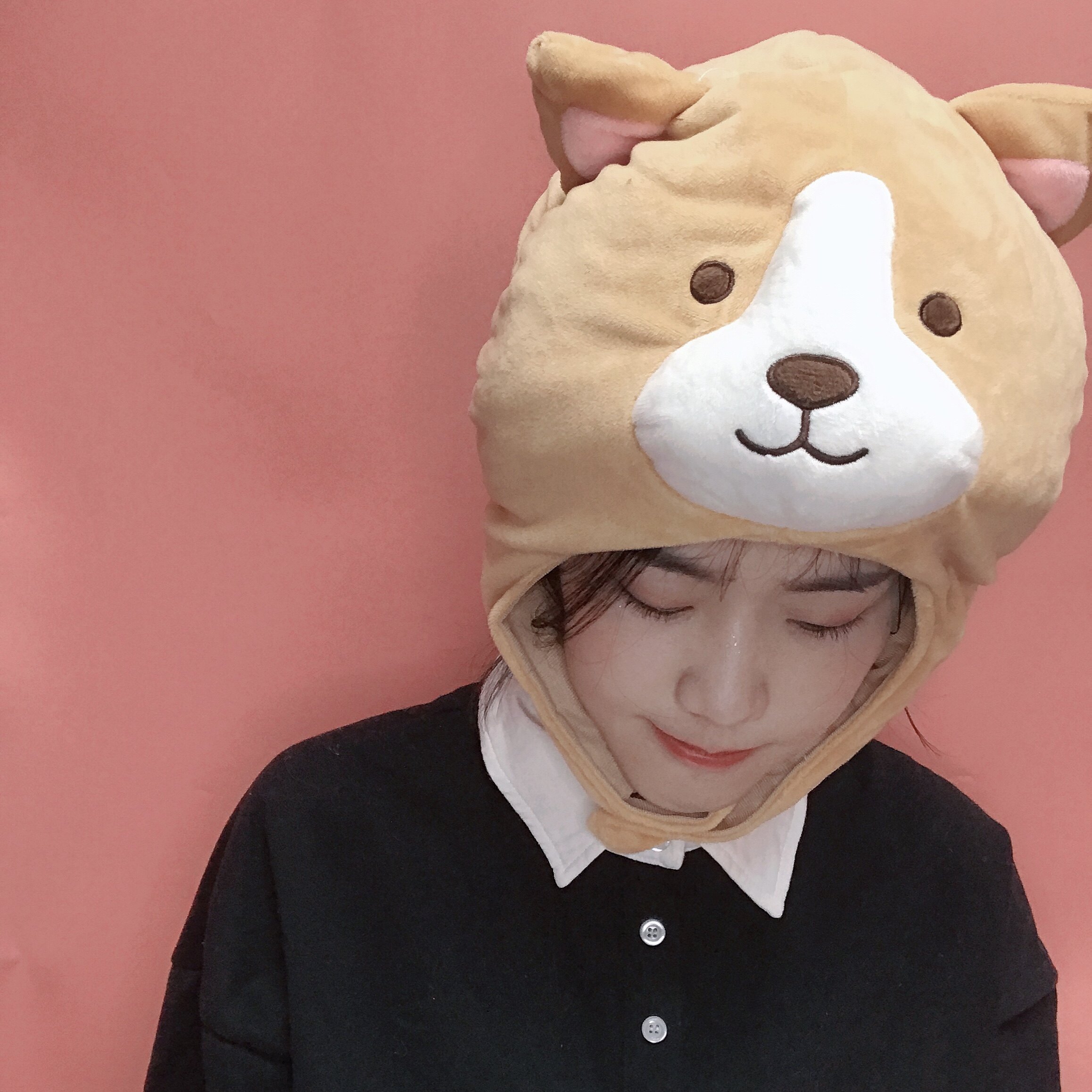 ins可爱爱搞动物狗狗柯基头套帽子毛绒公仔帽子