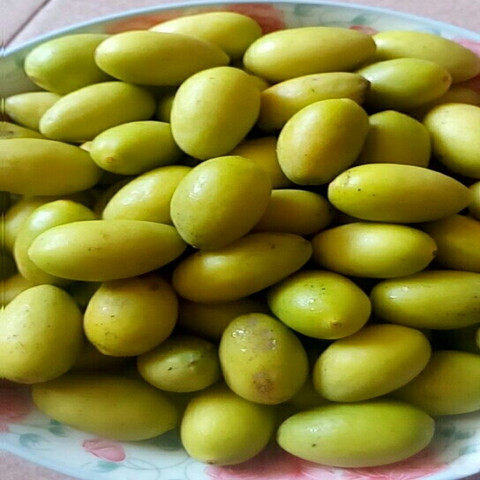 生吃橄榄潮汕农家土特产适合新鲜孕妇水果炖汤橄榄