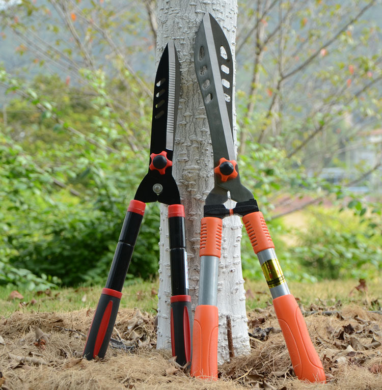花木剪绿篱剪草坪剪园林修枝剪园艺大剪刀绿化粗枝果树枝修花工具