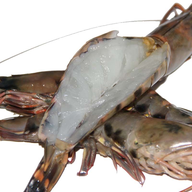 超大鲜活虾斑节九节海鲜冷冻大黑草虾新鲜野生冻虾