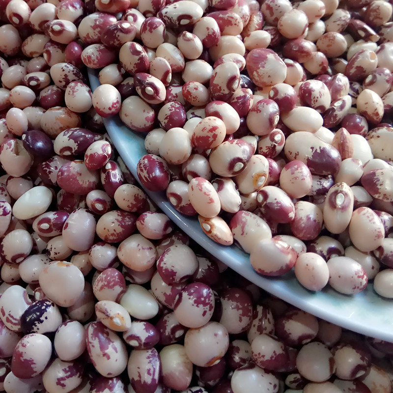 熊猫豆花豇豆250g农家自产花饭豆花豆子花斑豆八宝豆五谷杂粮粗粮