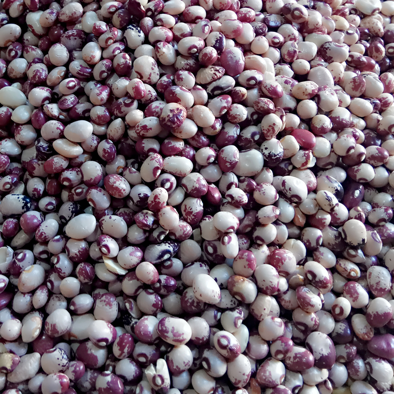 熊猫豆花豇豆250g农家自产花饭豆花豆子花斑豆八宝豆五谷杂粮粗粮