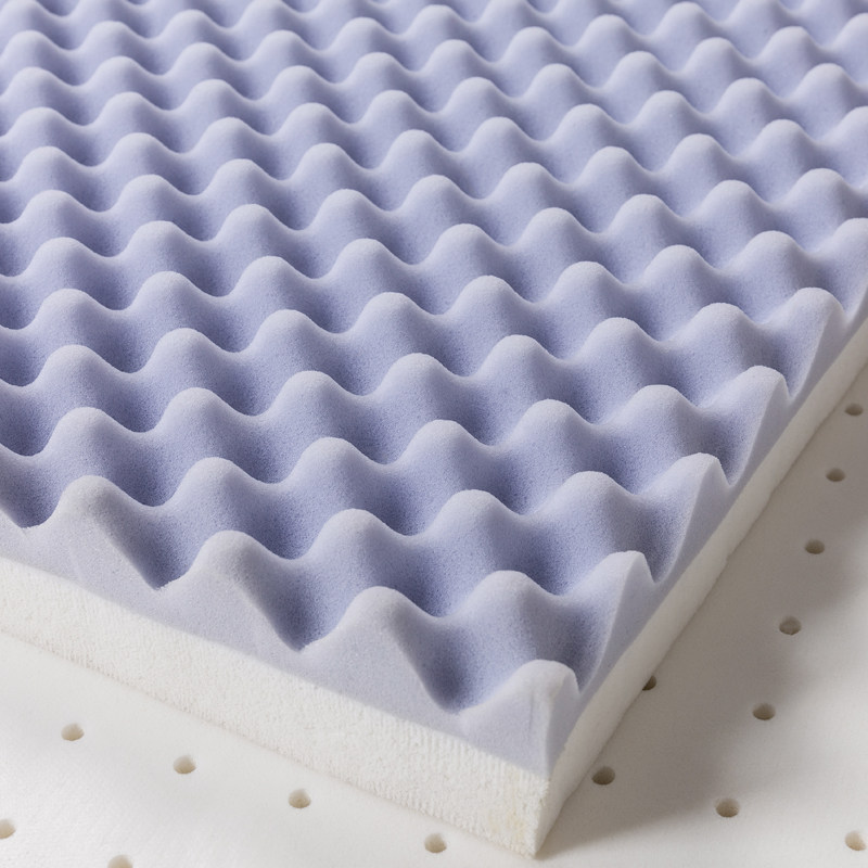 熙元优弹立体乳胶床垫海绵床垫记忆柔软型床垫单双学生榻榻米垫