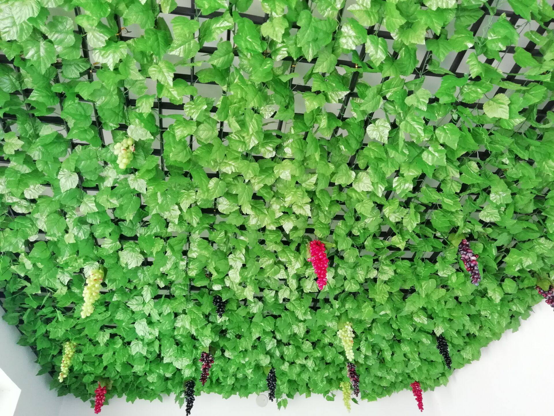 仿真绿植绿萝叶绿萝葡萄吊顶叶子绿色植物缠绕管道仿真绿植