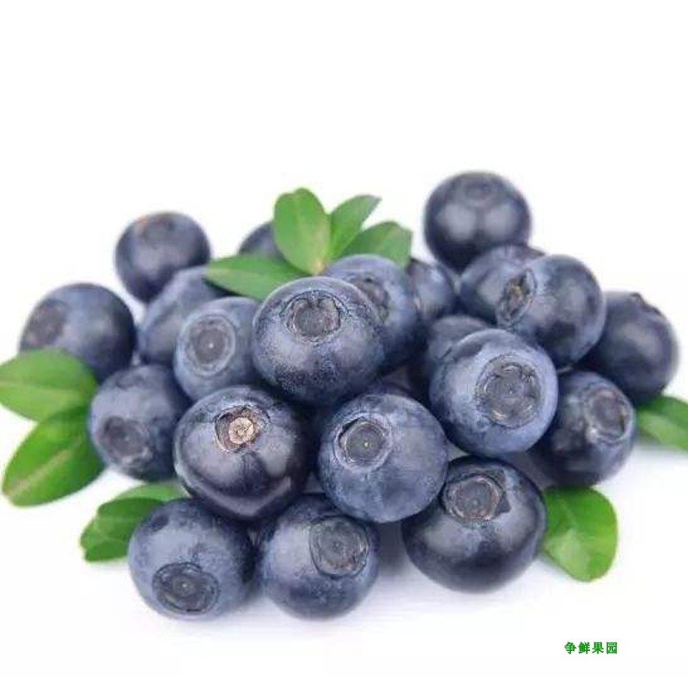 蓝莓秘鲁进口蓝梅鲜果速冻新鲜水果蓝莓