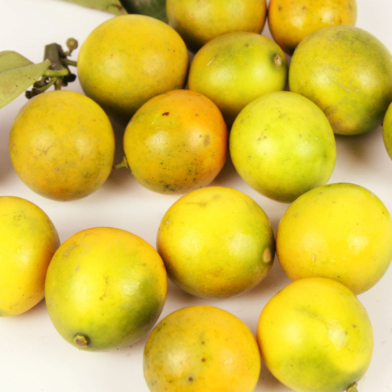 金桔桂林脆皮中大广西桔子新鲜水果甜心油皮其它