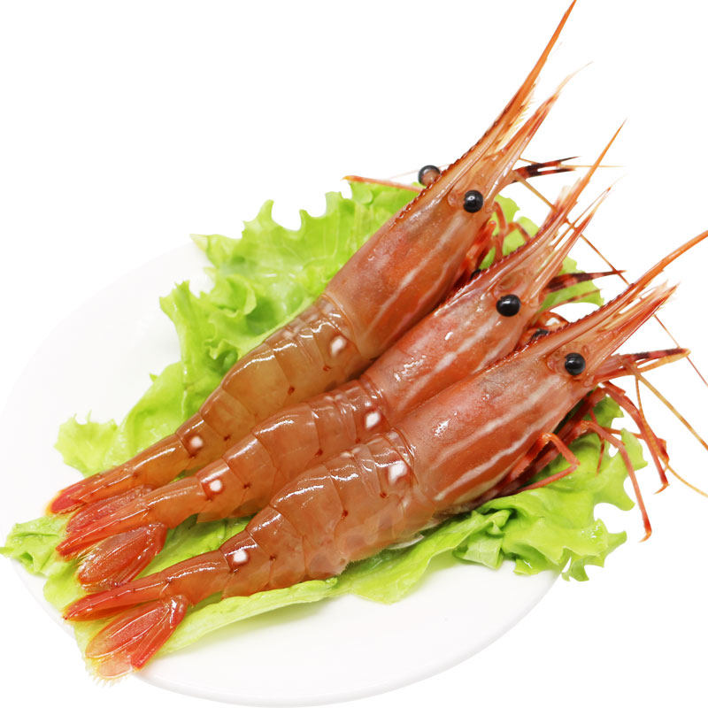 进口新西兰鳌虾scampi斯干比小龙虾 南极深海野生特大1号1kg刺身