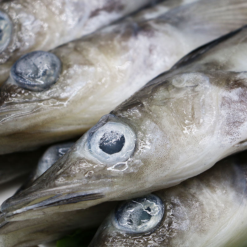 御鲜轩 南极冰鱼450-500g2-4条 海鱼海鲜水产新鲜速冻烧烤食材