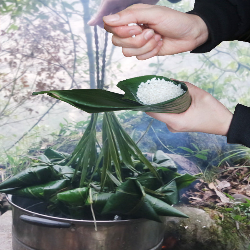 恩施特产大粽叶 新鲜箬叶竹叶 包邮粽子的叶子 端午节叶现采现发