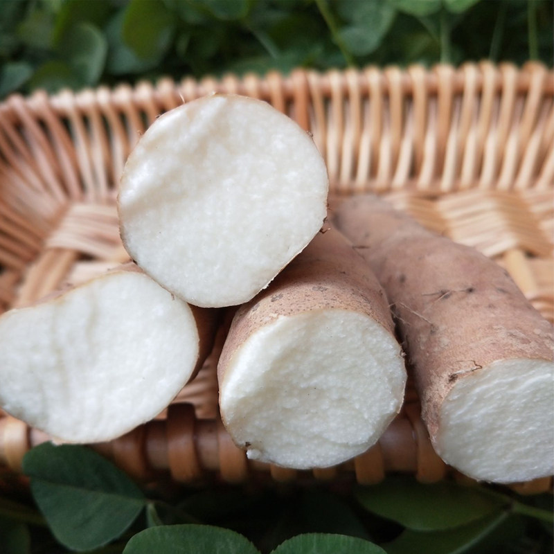 山药细毛农家自种薄皮长山新鲜原产地绿色种植新鲜山药
