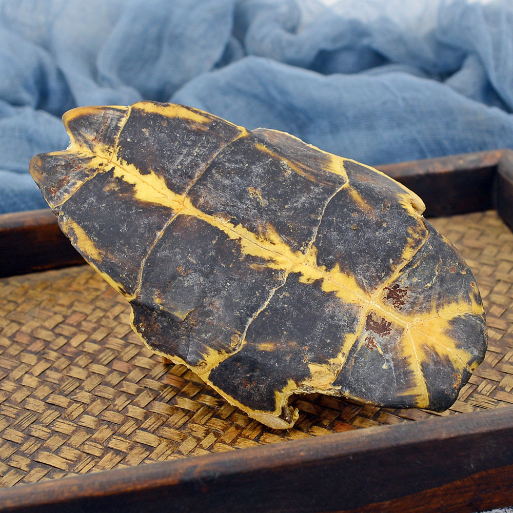 龟板静萱250g克中中药材龟甲龟壳龟下底板可磨其他药食同源食品