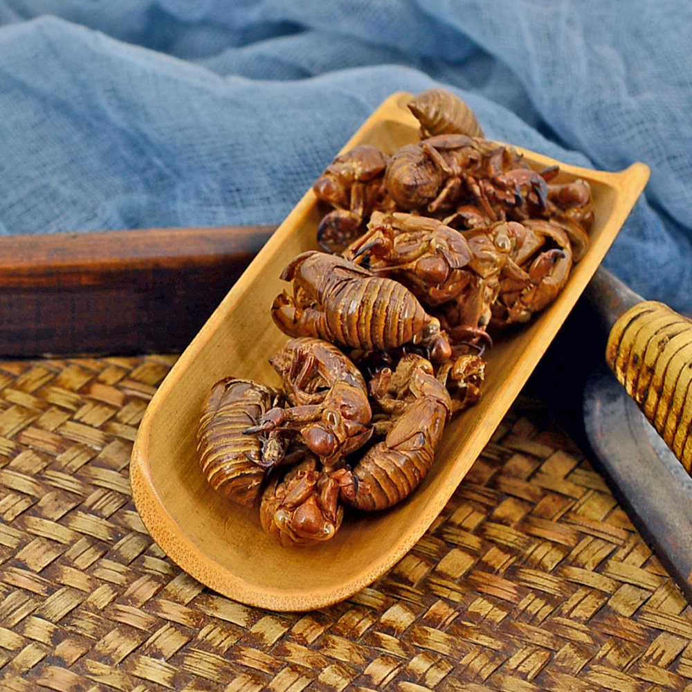 静萱蝉蜕50g克中中药材蝉退蝉衣知了皮虫蜕蝉其他药食同源食品