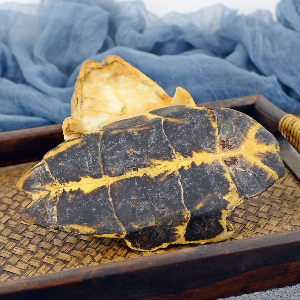 龟板静萱250g克中中药材龟甲龟壳龟下底板可磨其他药食同源食品