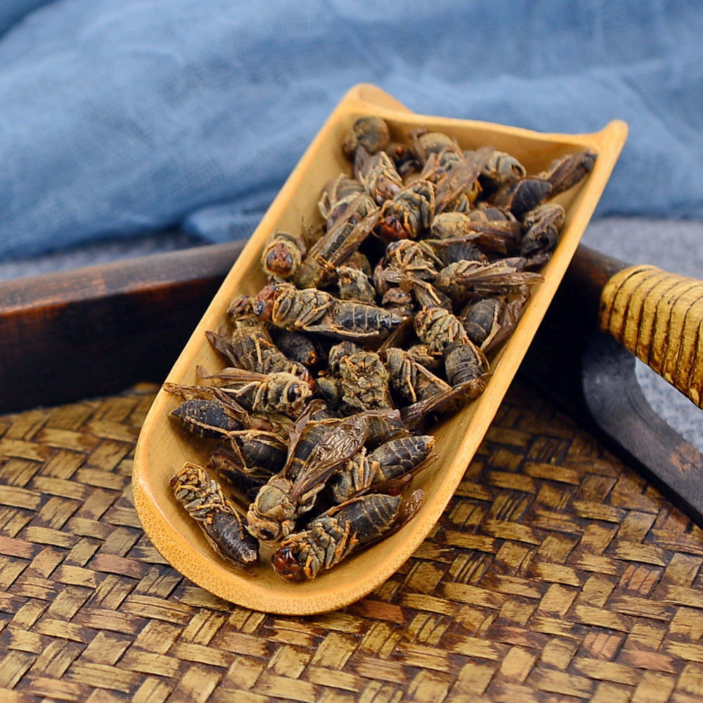 马蜂静萱50g克中中药材天然蚂蜂胡峰地蜂干黄蜂其他药食同源食品