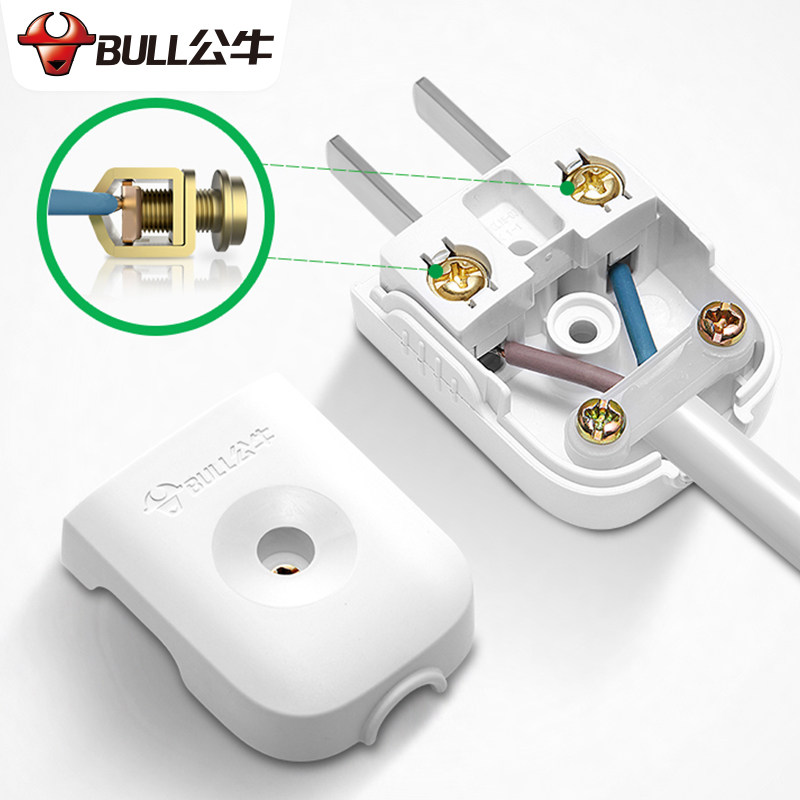 公牛插头二脚不带两脚两插10a250v单相电源插头