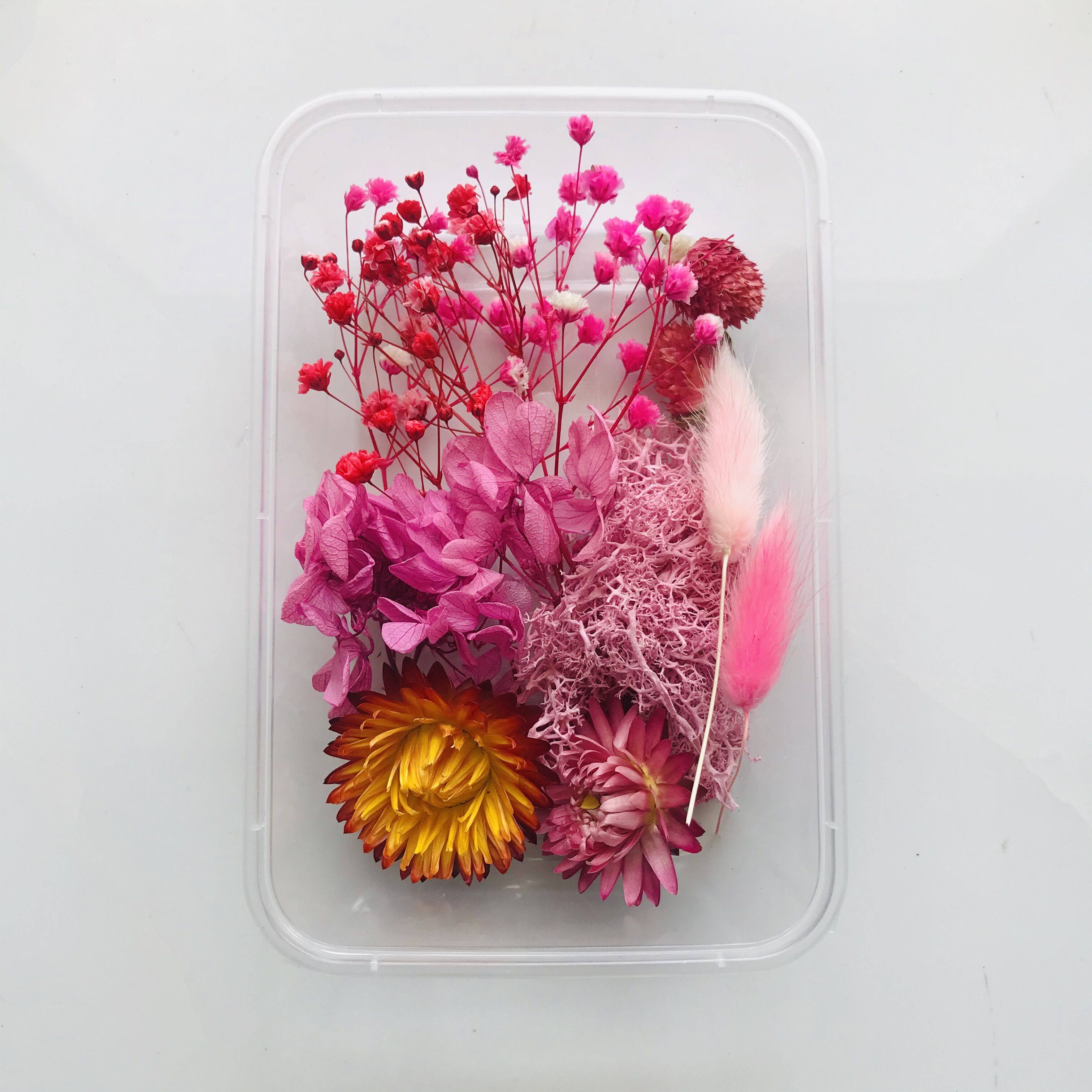 永生花相框贴画团扇香薰叶子滴胶幼儿园手工手工制干花