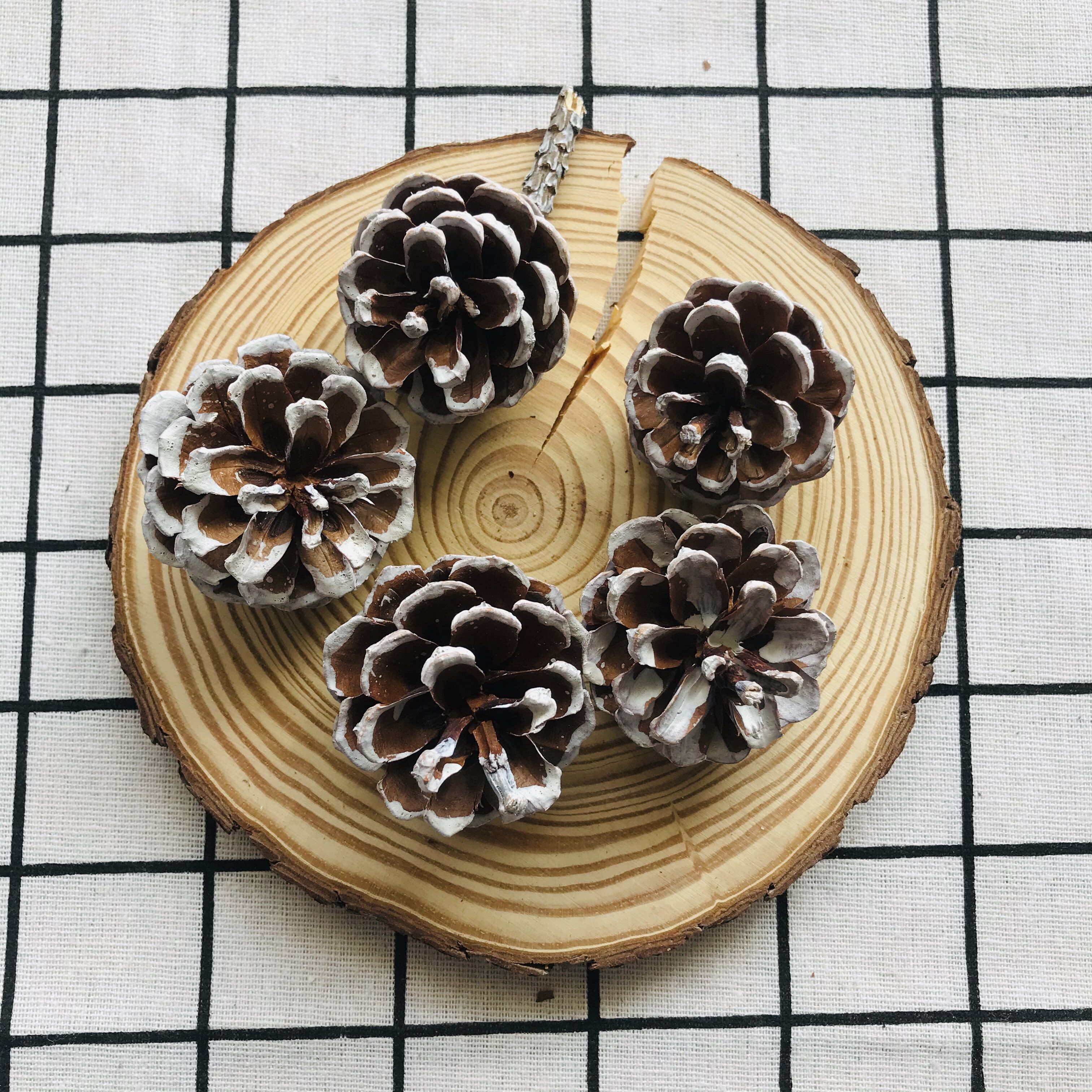 材料天然松塔松果松花幼儿园diy手工花环配材干花