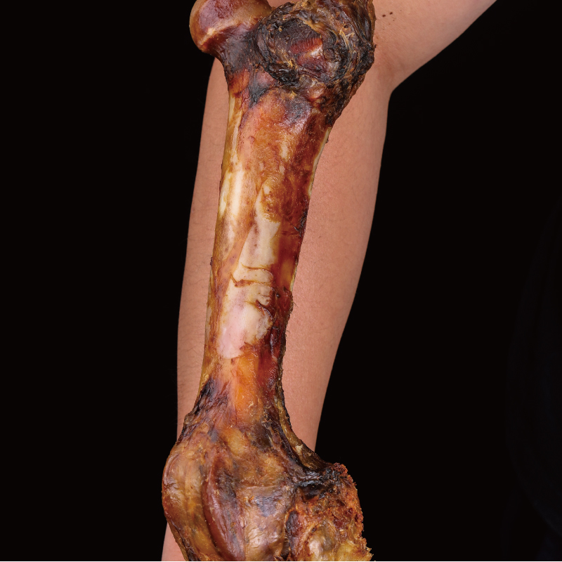 狗狗磨牙狗骨头磨牙棒狗大型犬耐咬带肉大骨头耐咬补钙洁齿牛棒骨