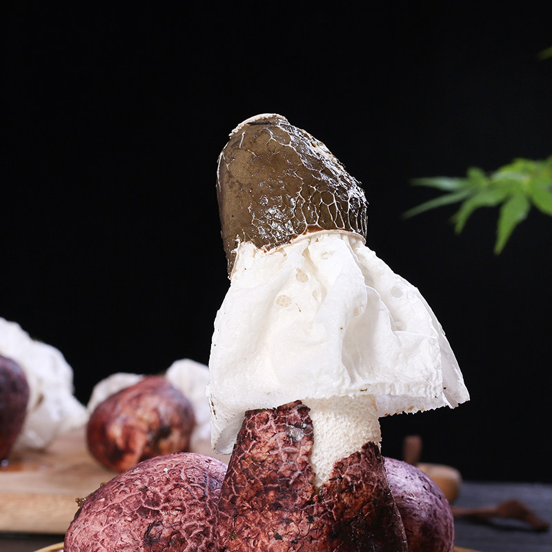 蘑菇竹荪云南新鲜500g1000g带壳红托竹孙鲜菌新鲜松茸