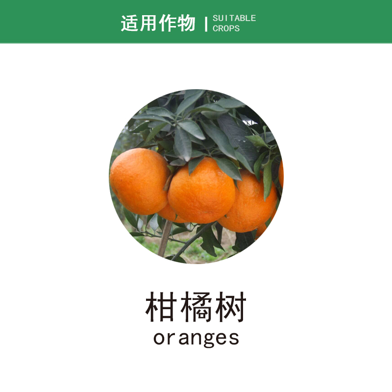 华戎 螨超 20%乙螨唑 红蜘蛛白蜘蛛叶螨农药杀虫剂杀螨剂5g70g - 图1