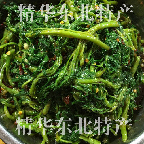 正宗东北野生柳蒿芽新鲜头茬咸菜腌制咸菜头绿色泡菜下饭菜菜包邮