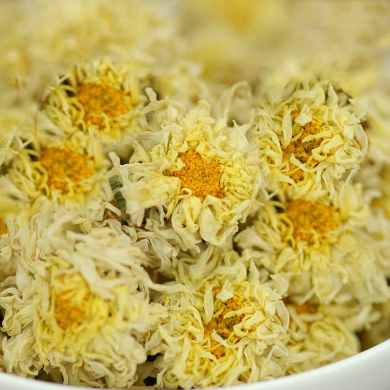 菊花安徽滁州贡菊施集特产特级新花干花茶叶代用