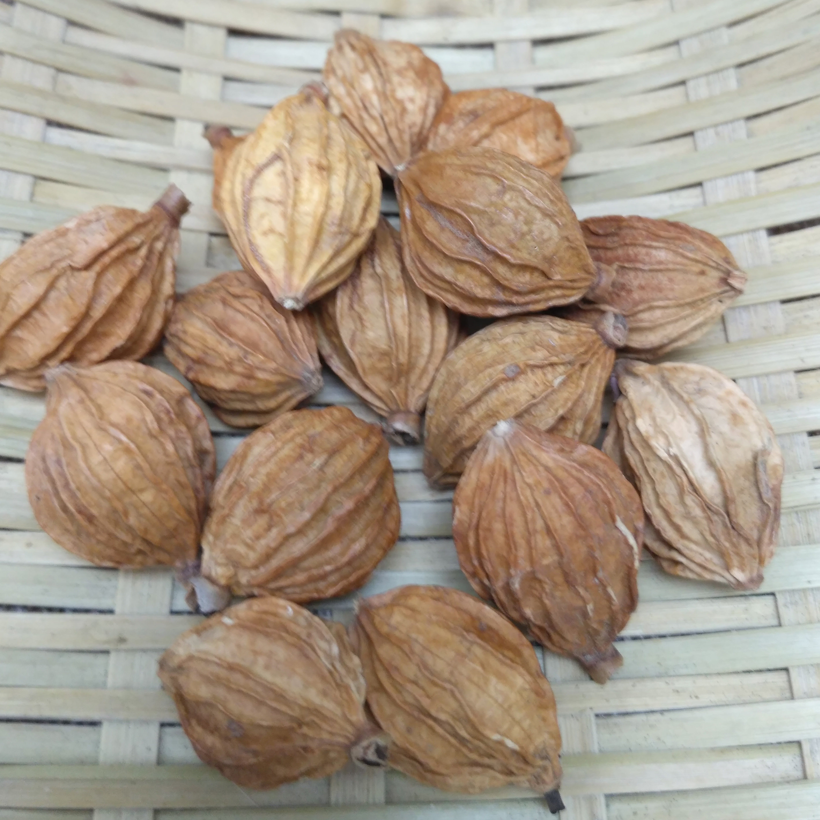 砂仁云南香砂特级纯正香料精选沙仁炖肉卤菜香辛料