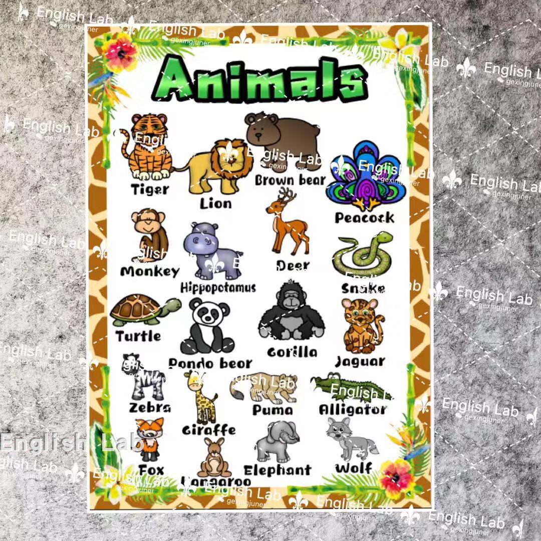 动物animalzoo森林英文卡片主题装饰亲子早教玩具挂图