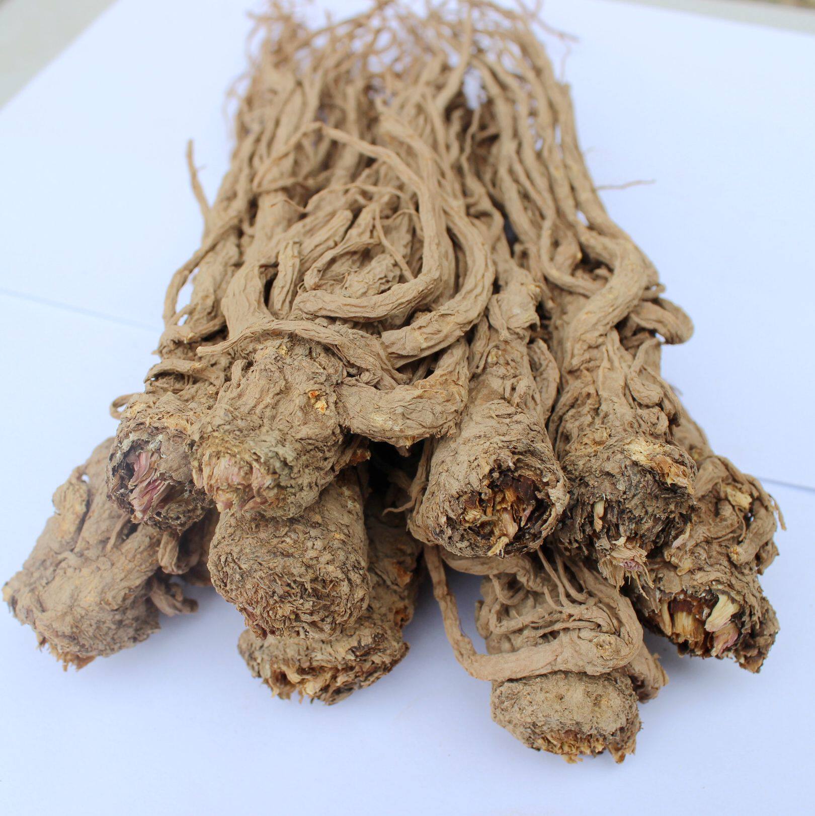 甘肃陇南宕昌精品当归无硫纯天然农家自产切片当归