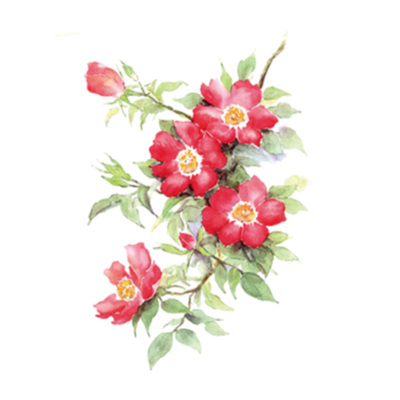 蜀葵古风彩绘花朵纹身贴防水女持久花臂性感锁骨遮疤耐磨刺青贴纸