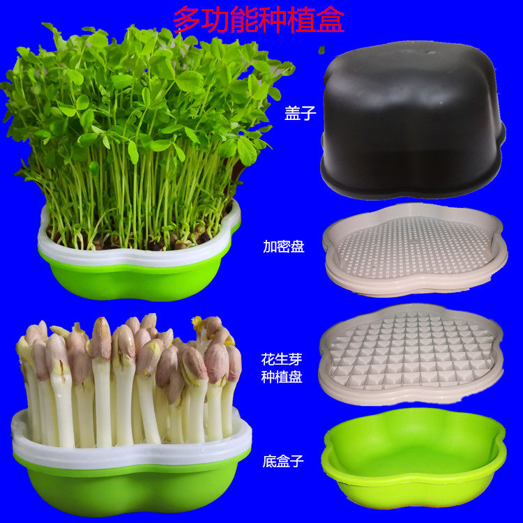 花生种植盒发神器芽水培箱芽苗菜育苗豆芽盘包育苗盘