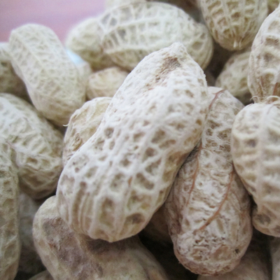 福建水煮龙岩406g日晒咸干晒干白玉花生 原价18元 现价17.