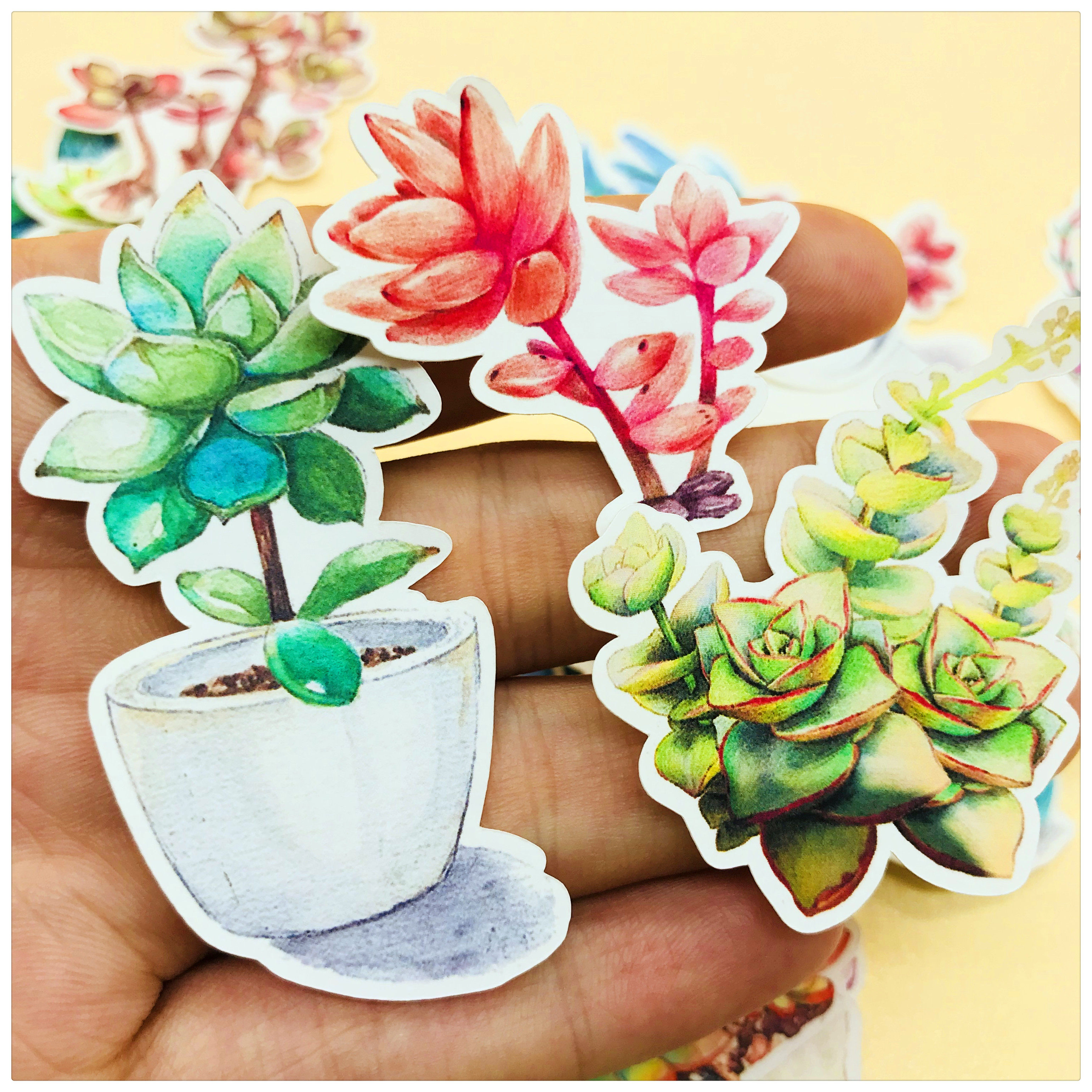 贴纸手帐纸包萌萌多肉植物27枚入手账相册装饰贴纸