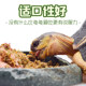 Rep-Shop fine mixed tortoise food vegetable and fruit Mazurui SUDO Versailles Z grain grass powder fruit food mixed feed Rep-Shop fine mixed tortoise food vegetable and fruit Mazurui SUDO Versailles Z grain grass powder fruit food mixed feed