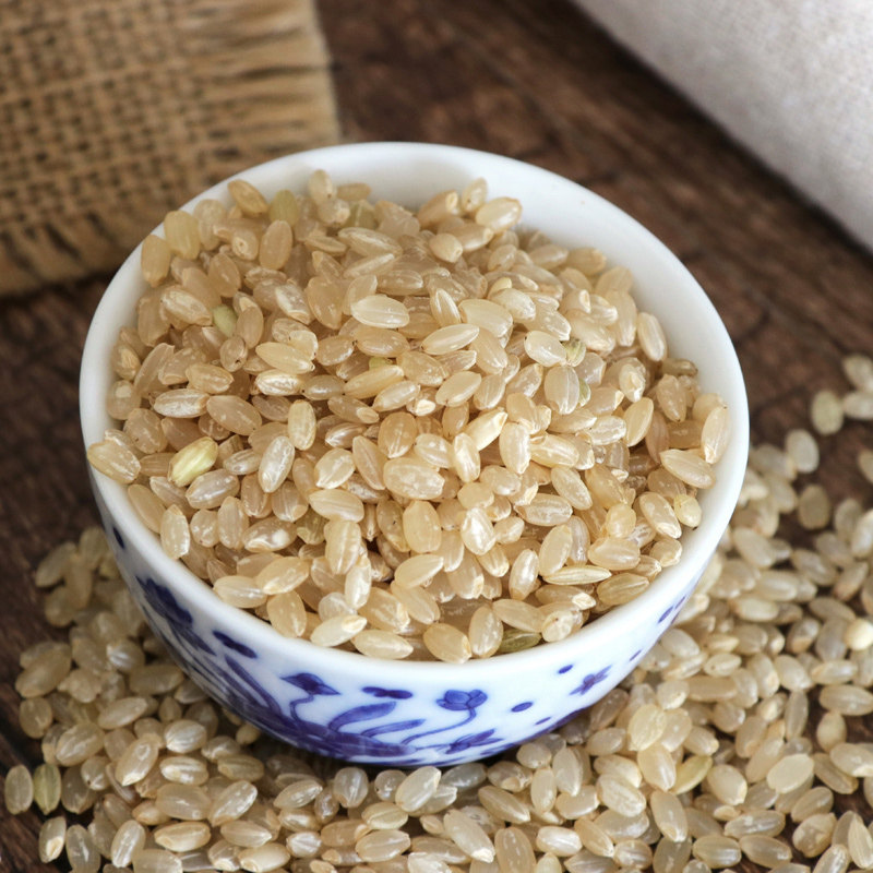 九鲤湖 糙米 500g*2袋 东北大米新米全胚芽玄米活米五谷杂粮粗粮