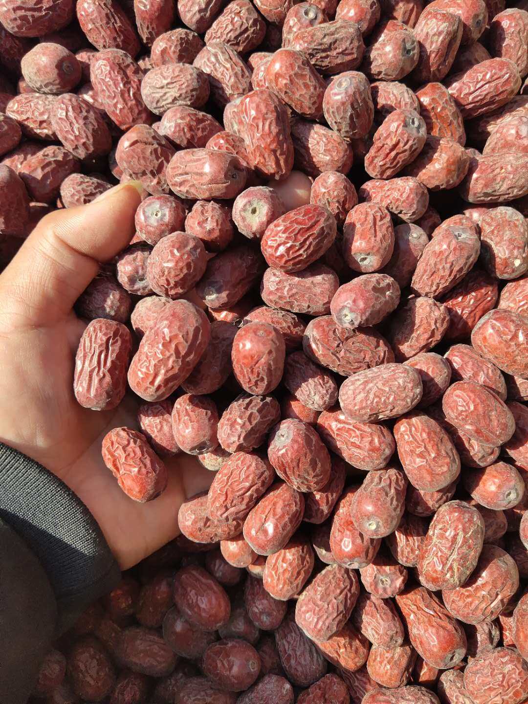 新强原枣母河五斤红枣若羌红红兵团风干自然风枣类制品