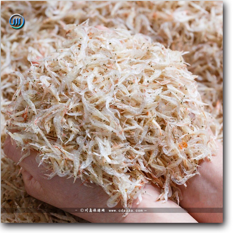 优质上川一级无盐生野生虾皮无污染苗虾毛川岛特产虾皮