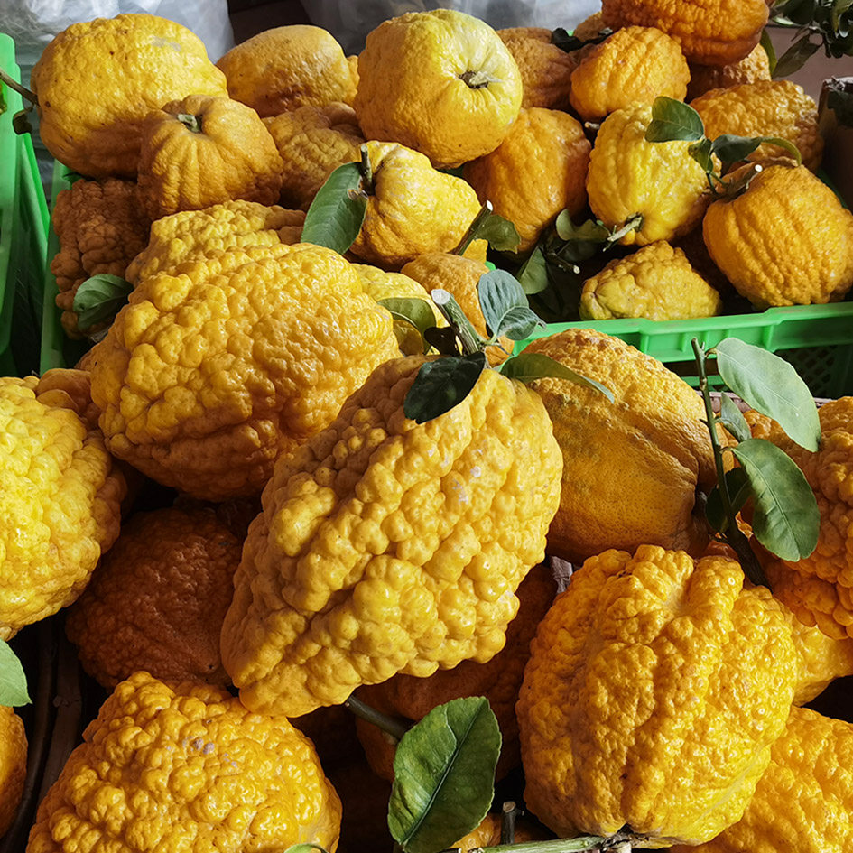 香橼新鲜云南水果佛手香园干片1斤佛手果