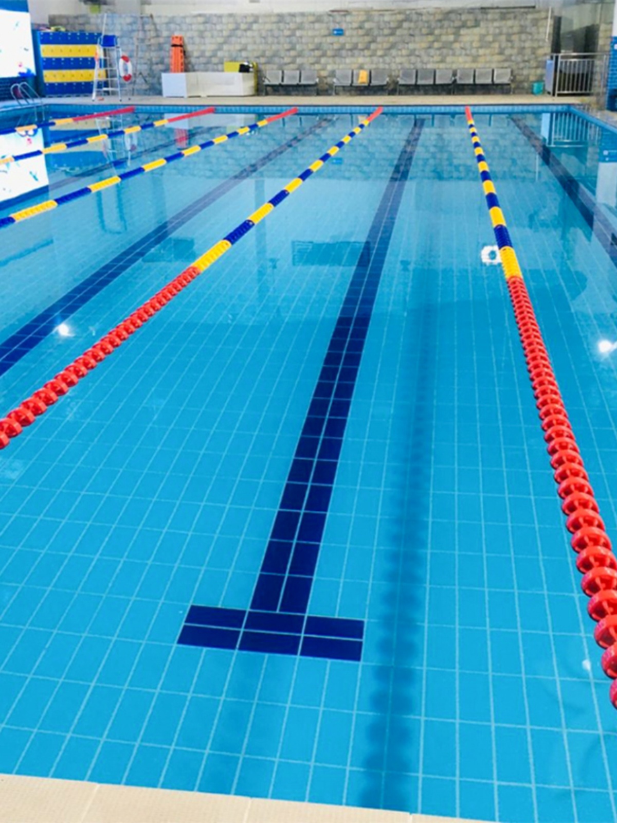 地中海标准游泳池专用瓷砖陶瓷115X240蓝色体育馆学校室内水池砖