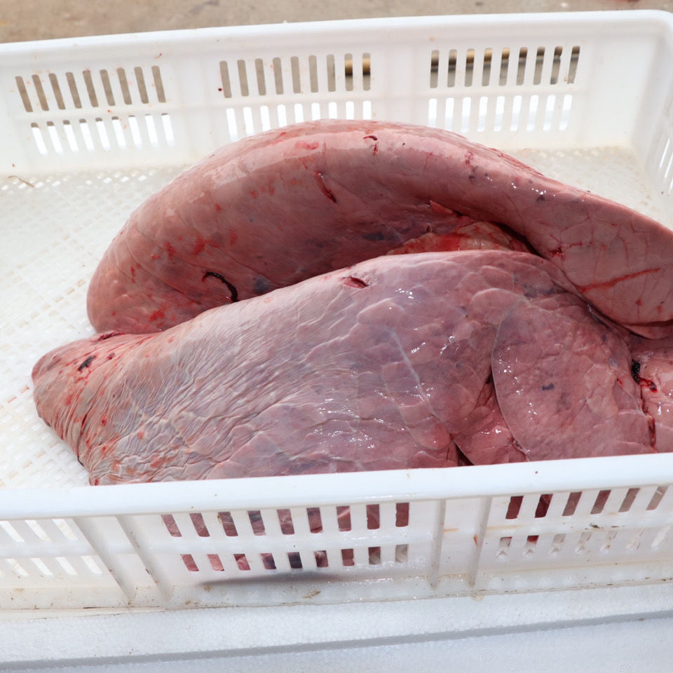 包邮1斤 新鲜牛肺 生牛肺6斤 新鲜生牛肺 牛杂 黄牛牛肺 - 痕风的起点