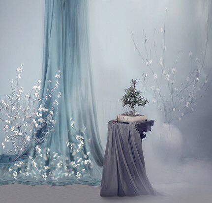 服装影楼雅韵梦香pp主题拍摄布影楼写真摄影背景布类