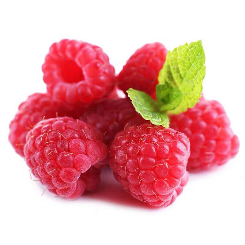 新鲜水果driscolls怡颗莓红树莓4盒约125g每盒新鲜覆盆子 - 沈阳水果