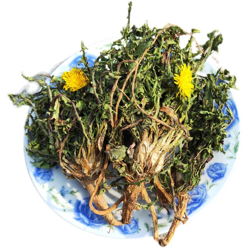 蒲公英中药晒干整株带根干货甫公英根正品特级养生茶