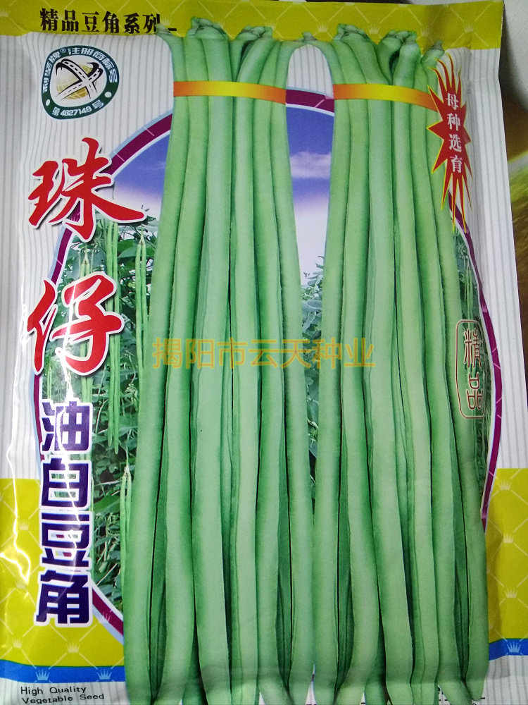 豆角种子珠仔油白王种子大肉甜豆厚肉好吃猪仔家庭园艺种子